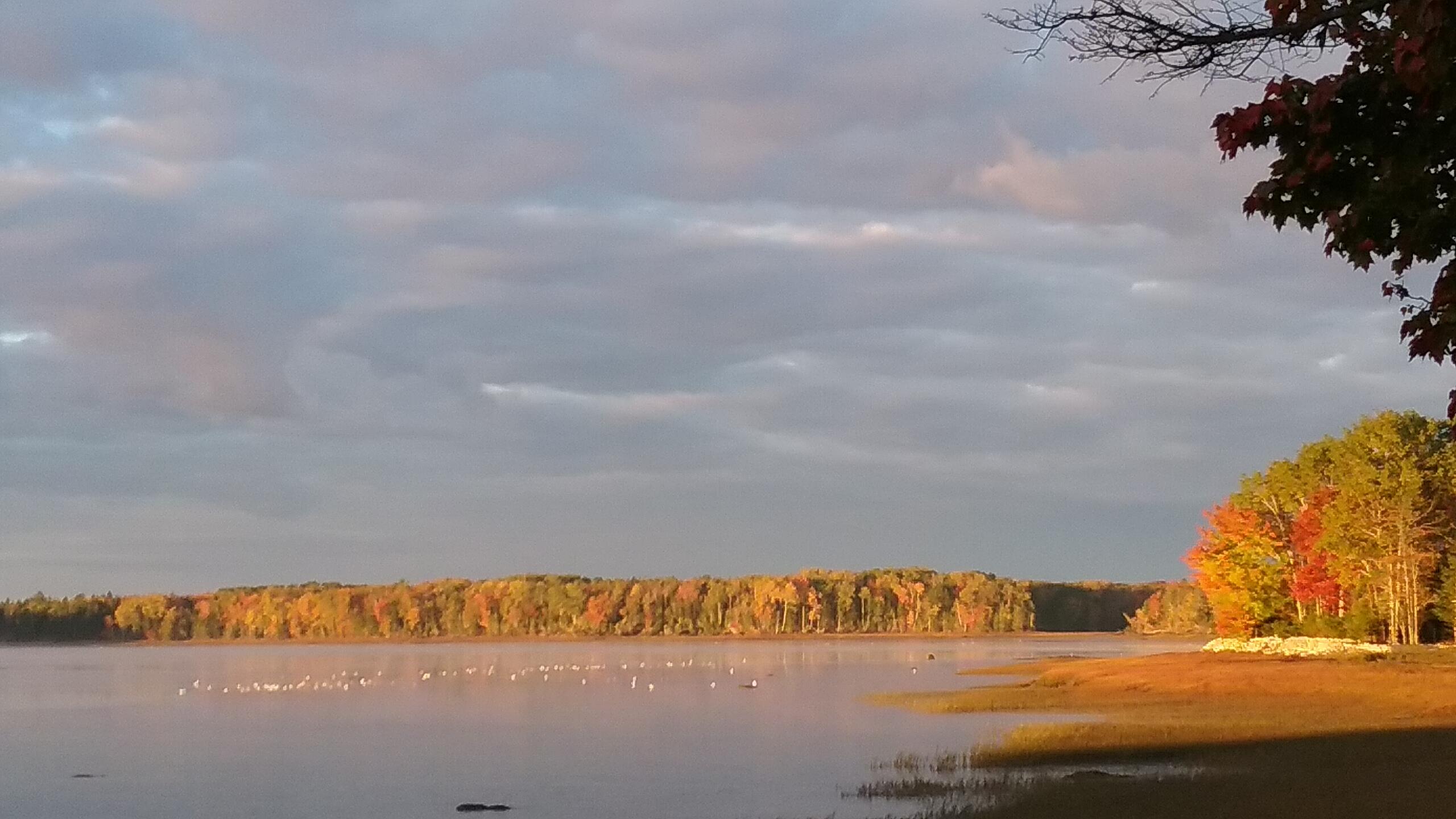 207 Rays Point Road Milbridge ME 04658