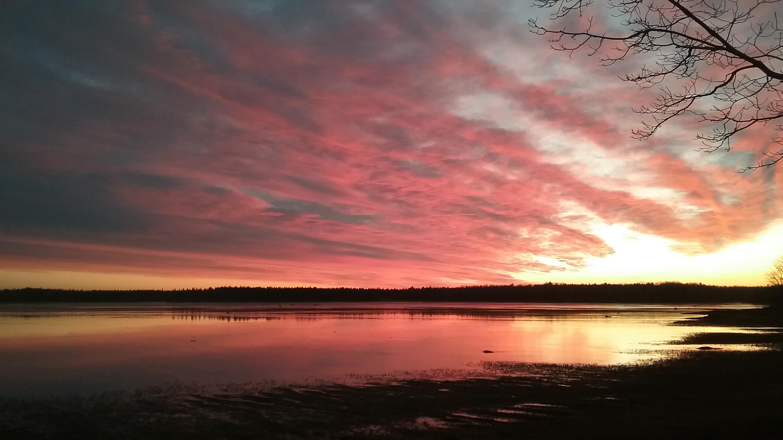 207 Rays Point Road Milbridge ME 04658