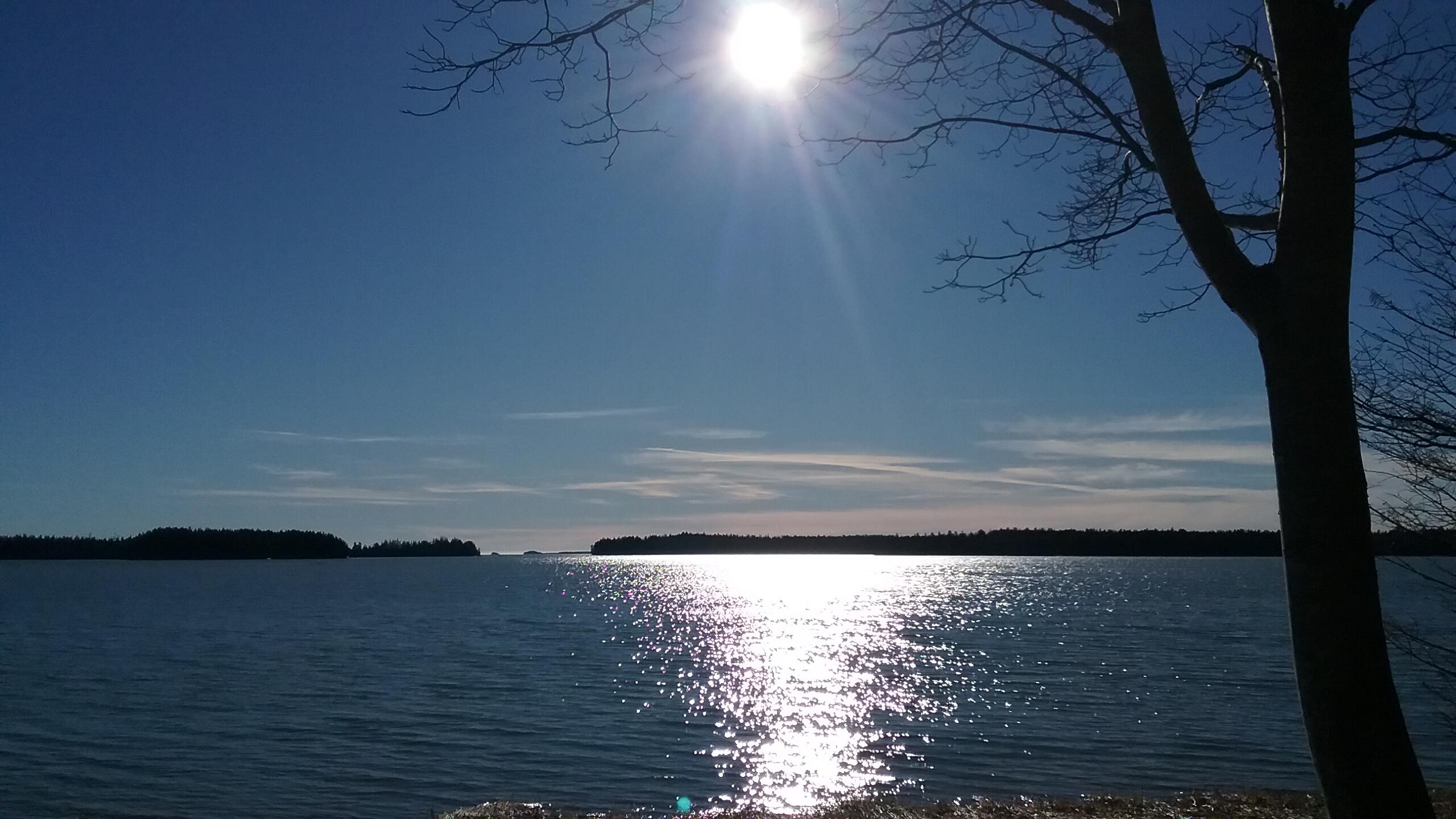 207 Rays Point Road Milbridge ME 04658