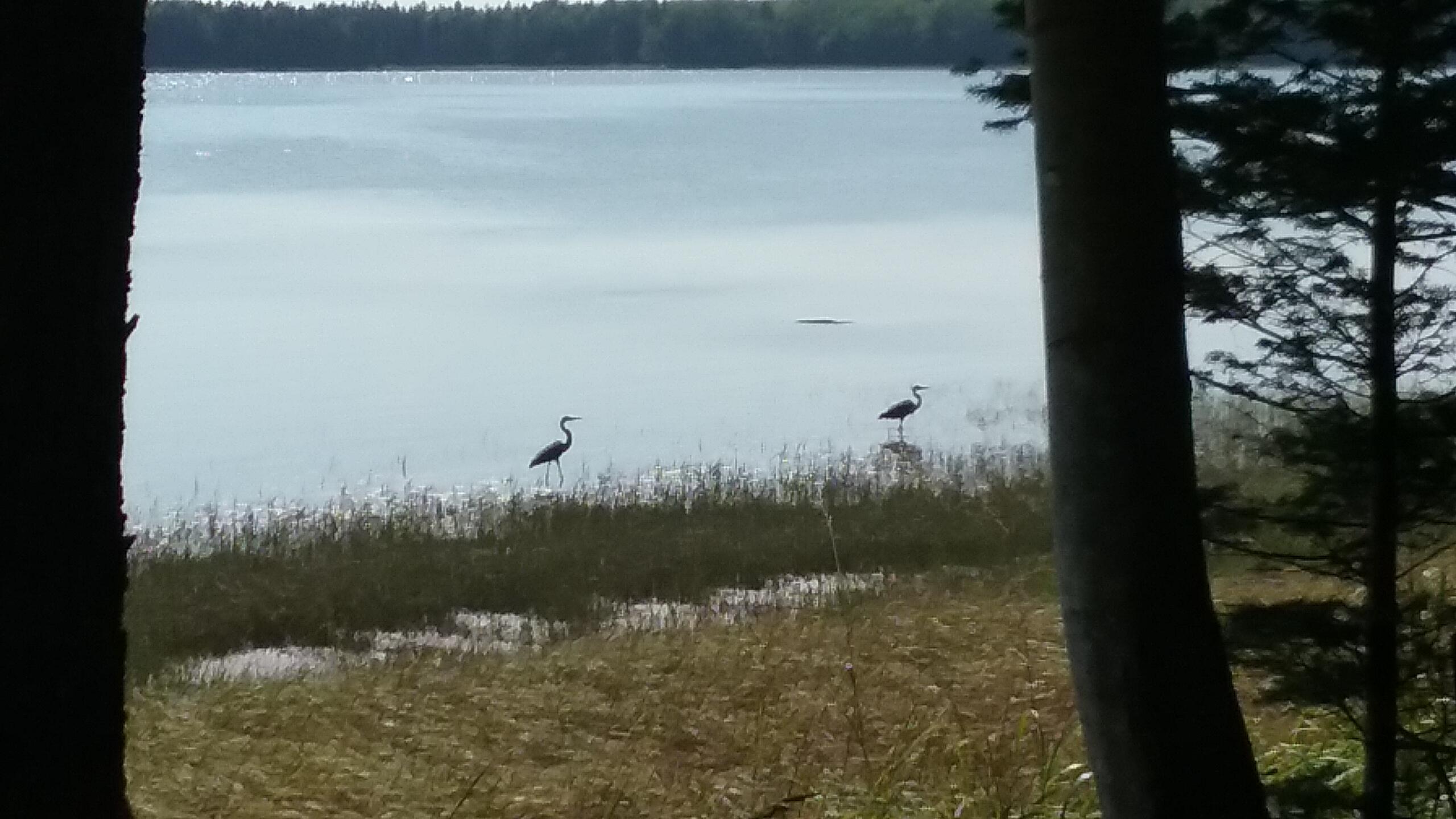 207 Rays Point Road Milbridge ME 04658