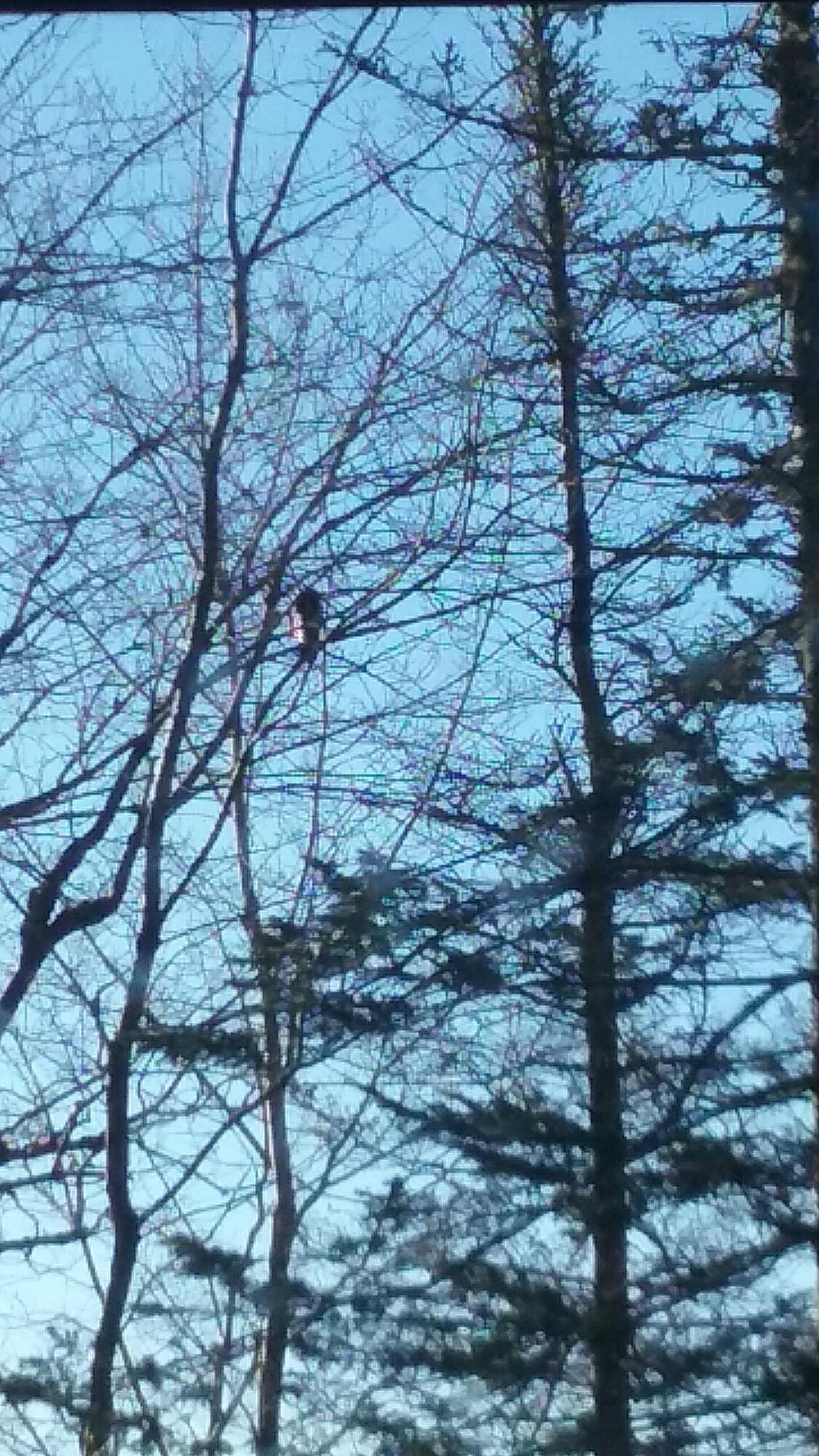 207 Rays Point Road Milbridge ME 04658