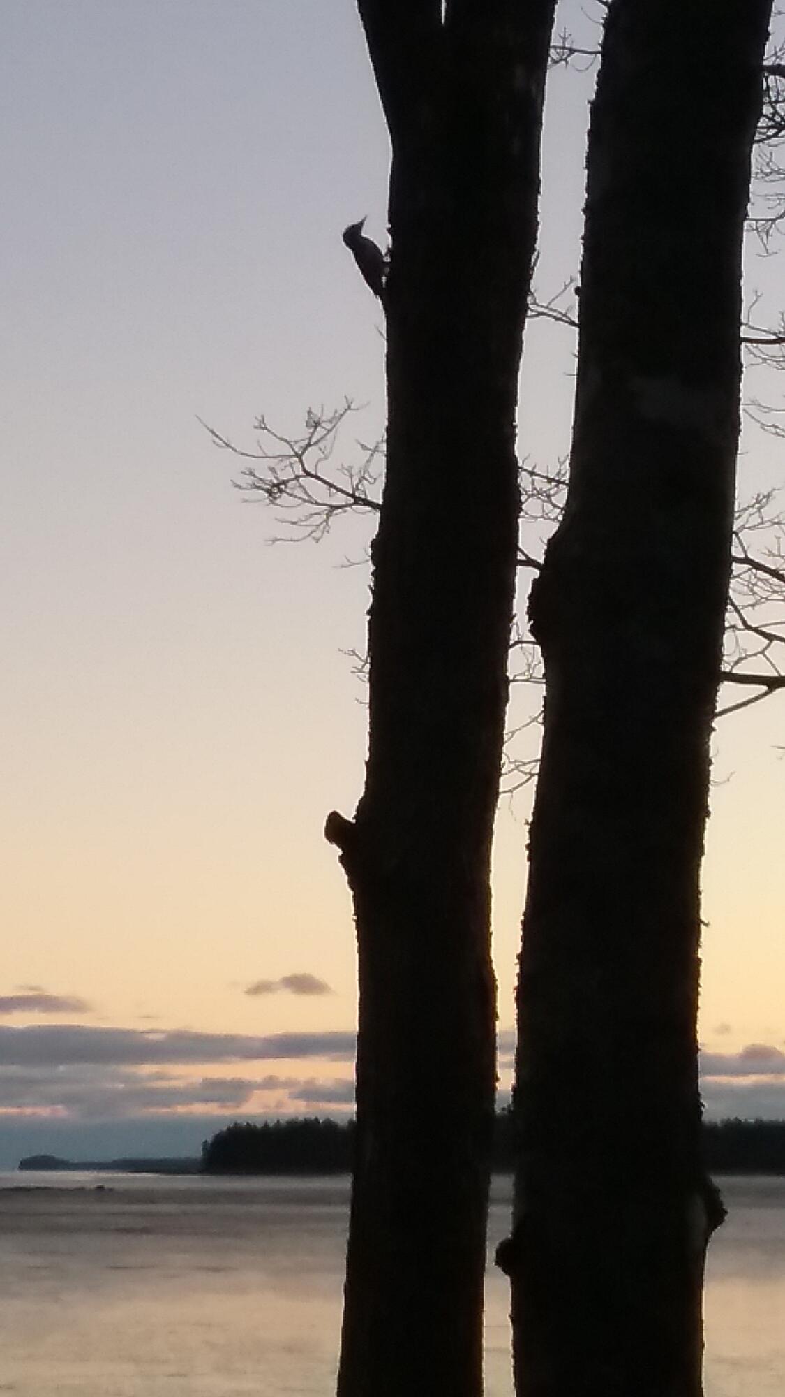 207 Rays Point Road Milbridge ME 04658