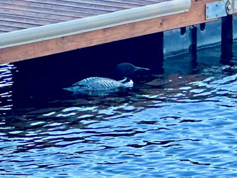 67 Poulin Drive Readfield ME 04355