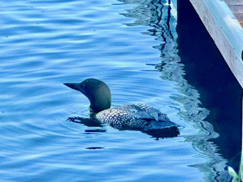 67 Poulin Drive Readfield ME 04355