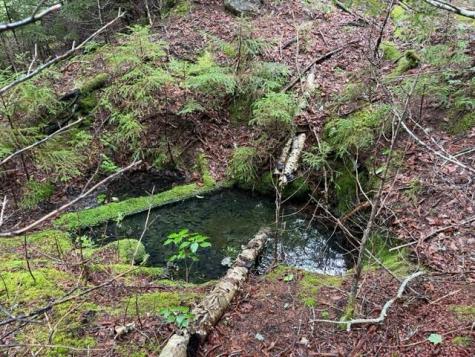 352 Us 1 Route Whiting ME 04691