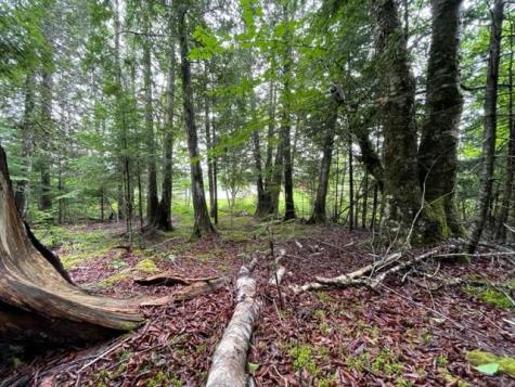 352 Us 1 Route Whiting ME 04691