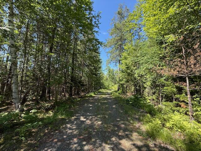 47 Tranquility Lane Perry ME 04667