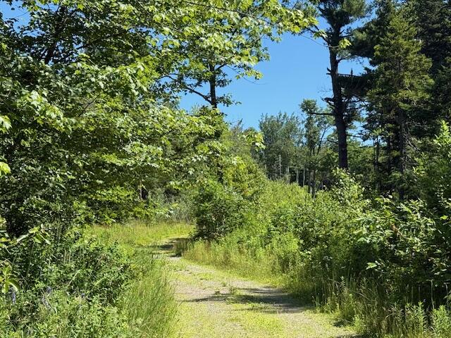 47 Tranquility Lane Perry ME 04667