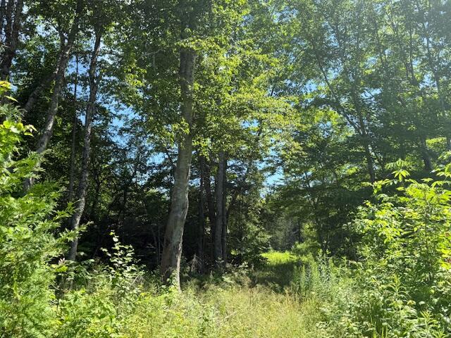 47 Tranquility Lane Perry ME 04667