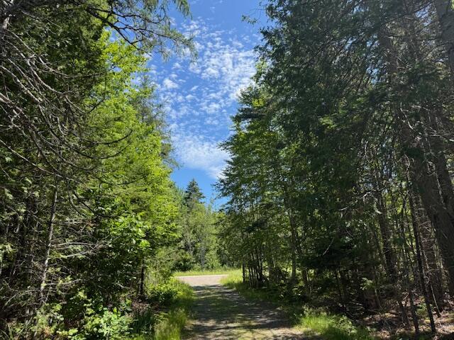 47 Tranquility Lane Perry ME 04667