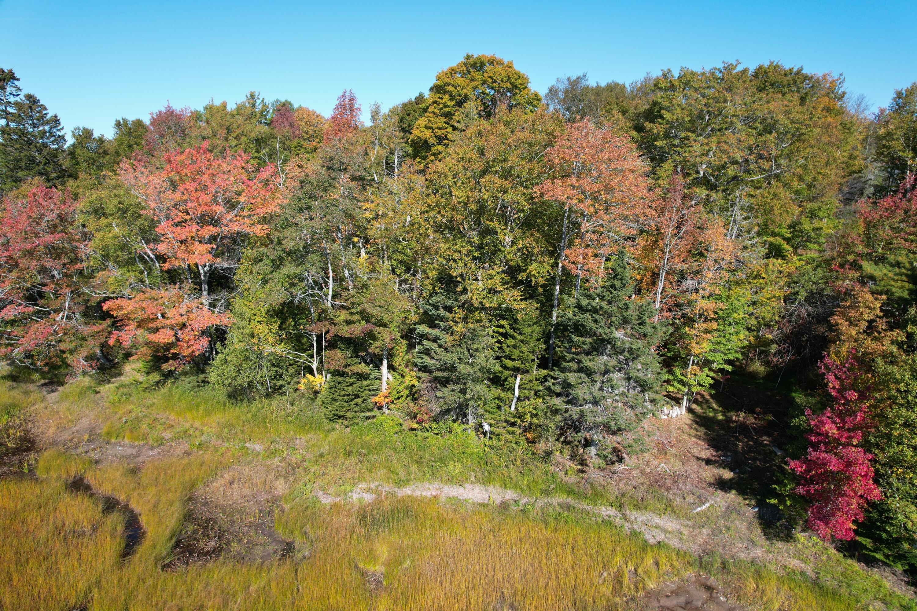 47 Tranquility Lane Perry ME 04667