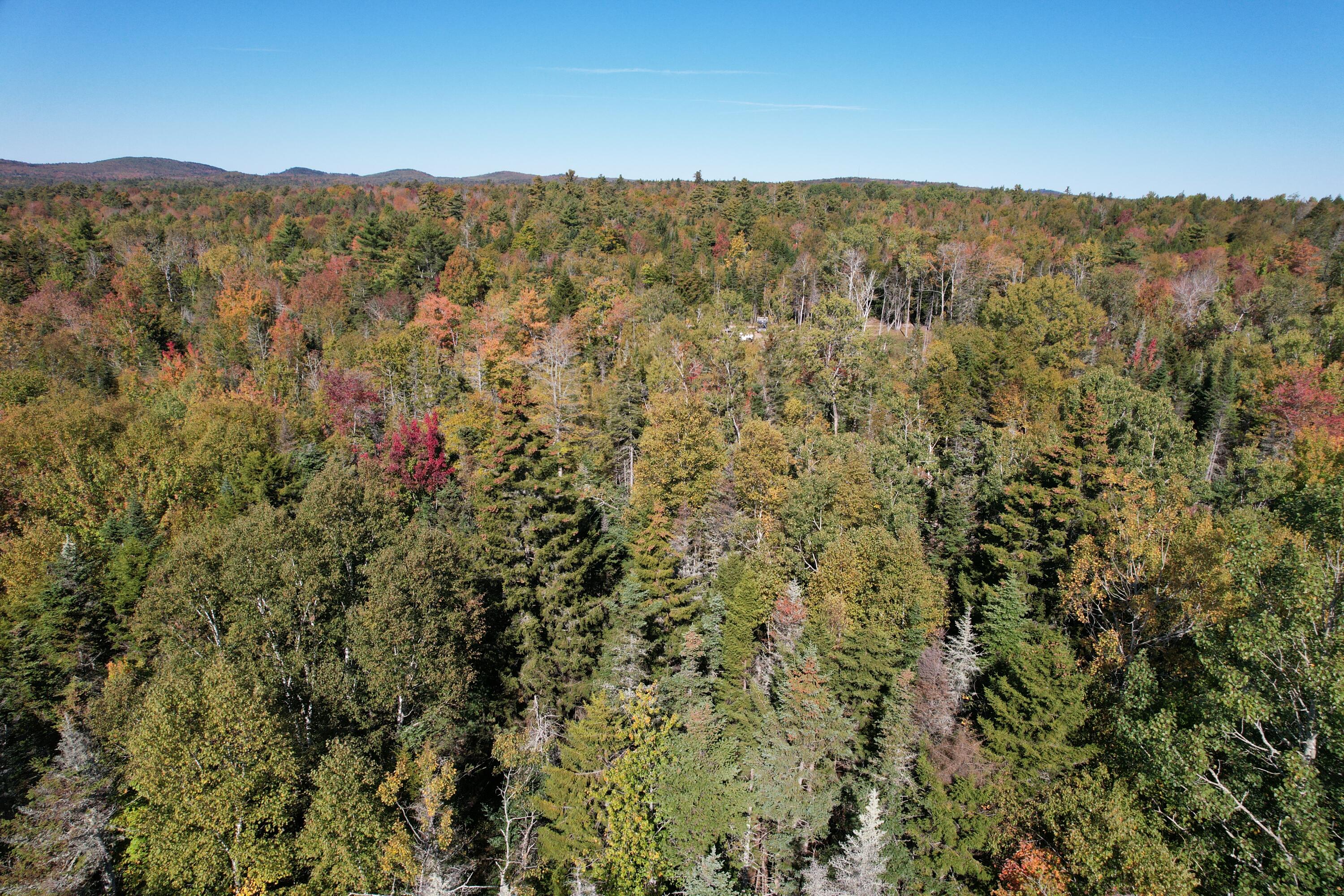 47 Tranquility Lane Perry ME 04667