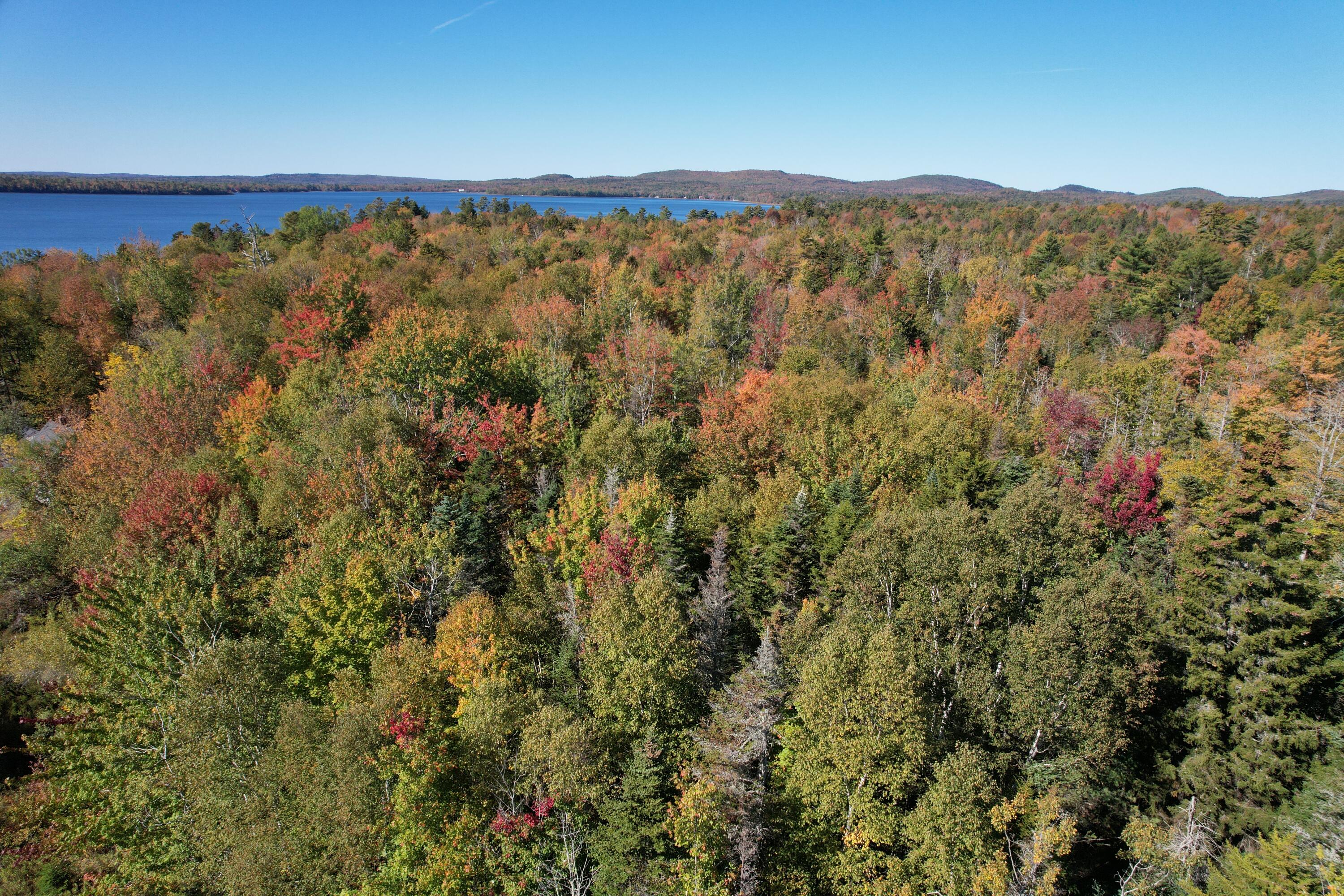 47 Tranquility Lane Perry ME 04667
