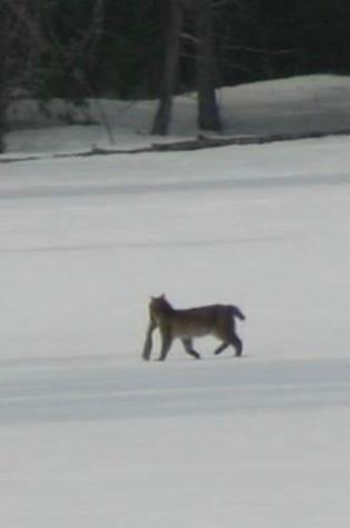 3 Merrill Brook Lane Howland ME 04448