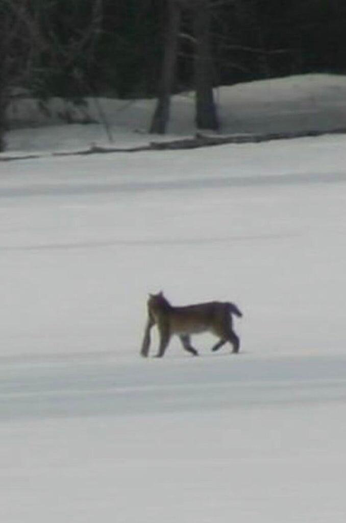 3 Merrill Brook Lane Howland ME 04448