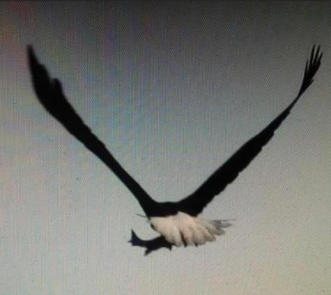 3 Merrill Brook Lane Howland ME 04448