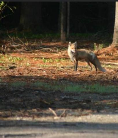 3 Merrill Brook Lane Howland ME 04448