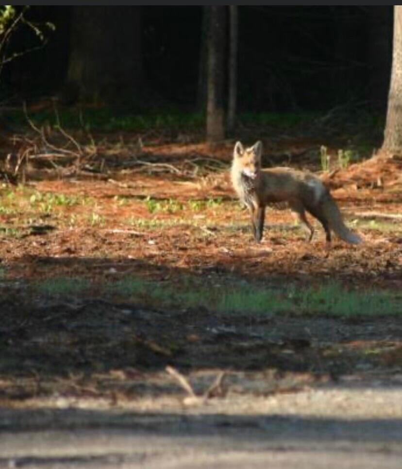 3 Merrill Brook Lane Howland ME 04448