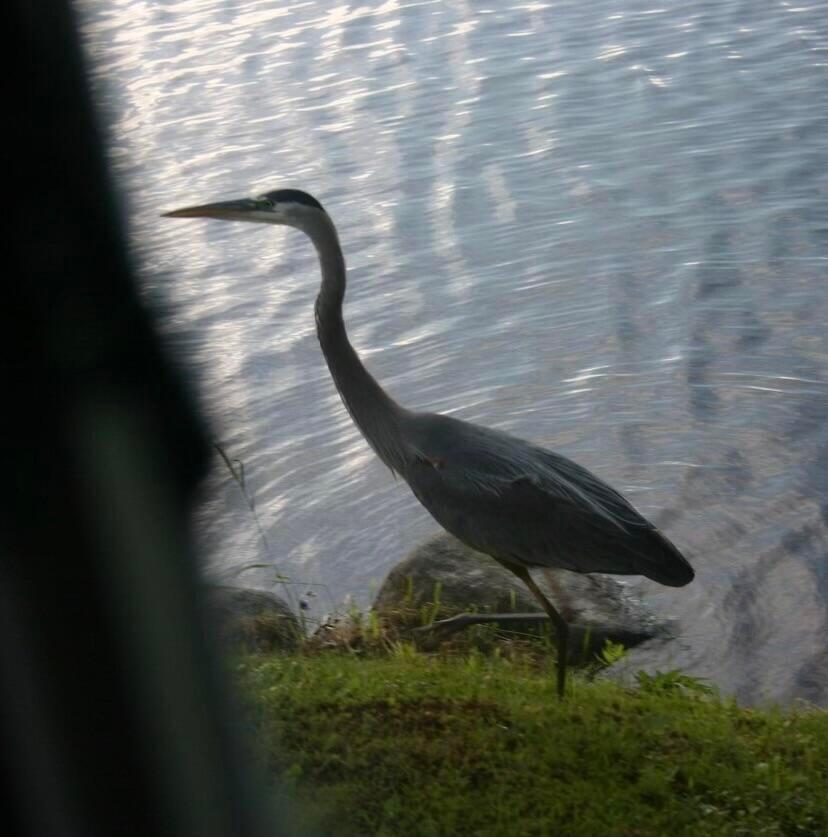 3 Merrill Brook Lane Howland ME 04448