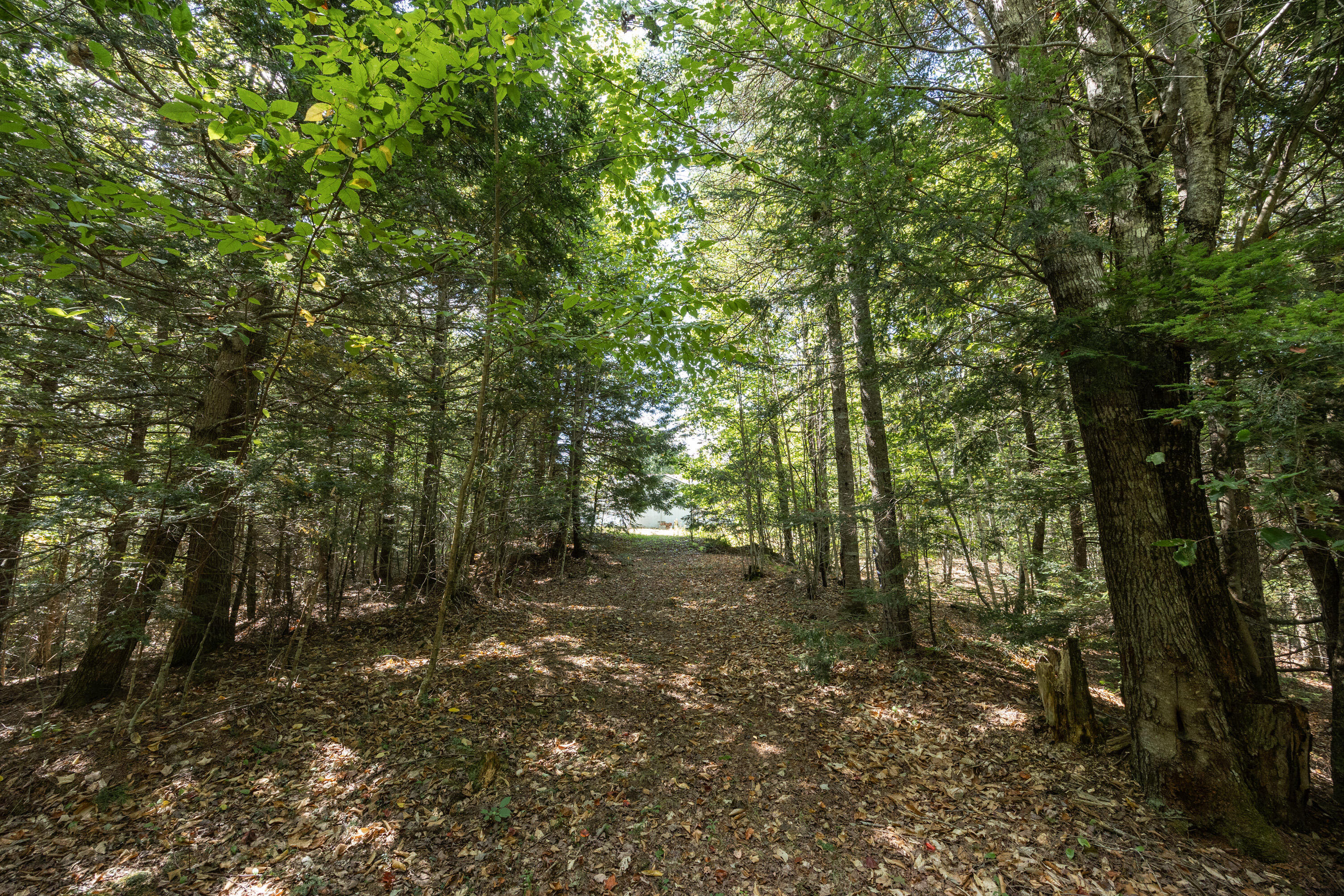 128 Cross Road China ME 04358