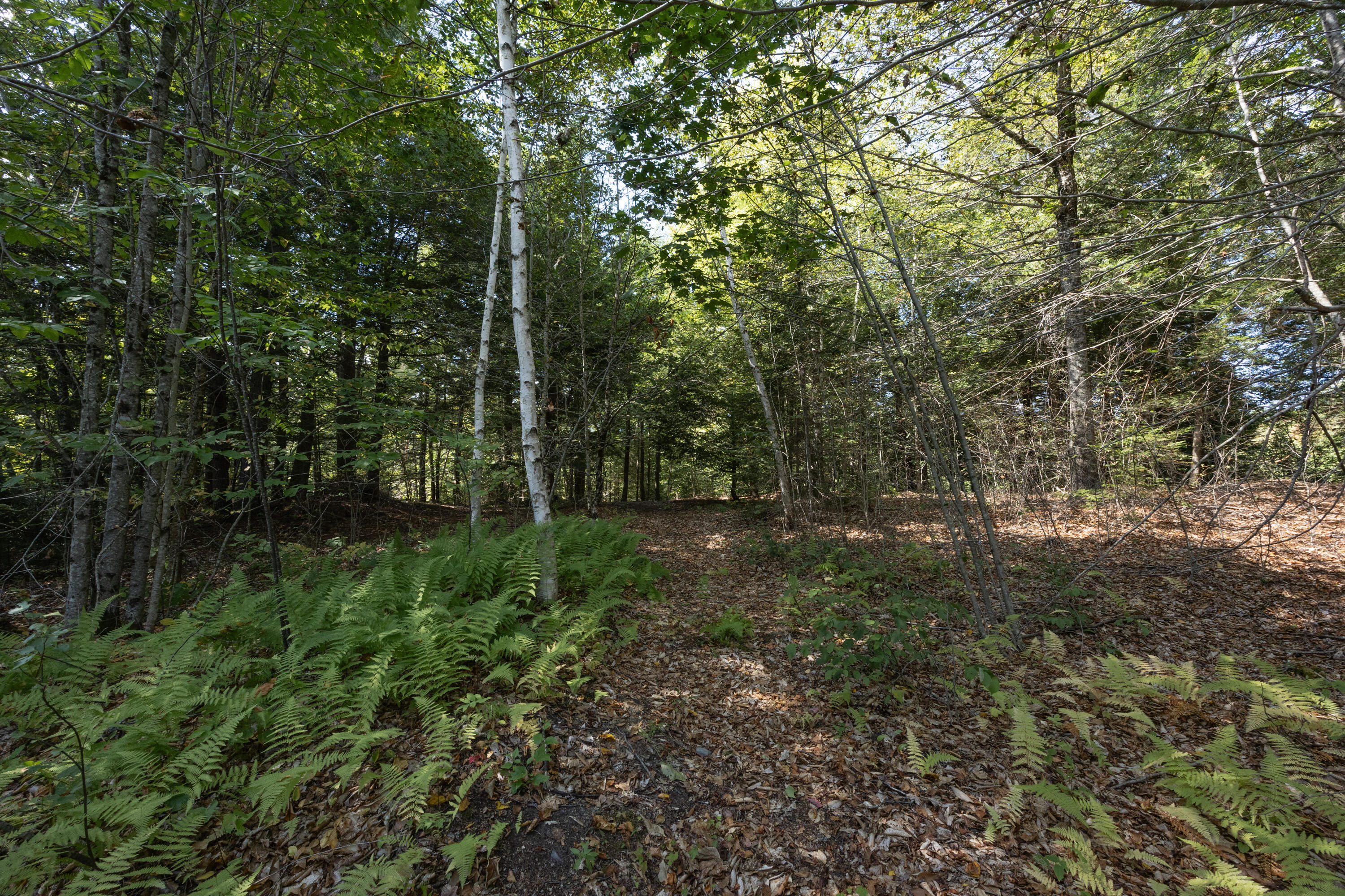 128 Cross Road China ME 04358