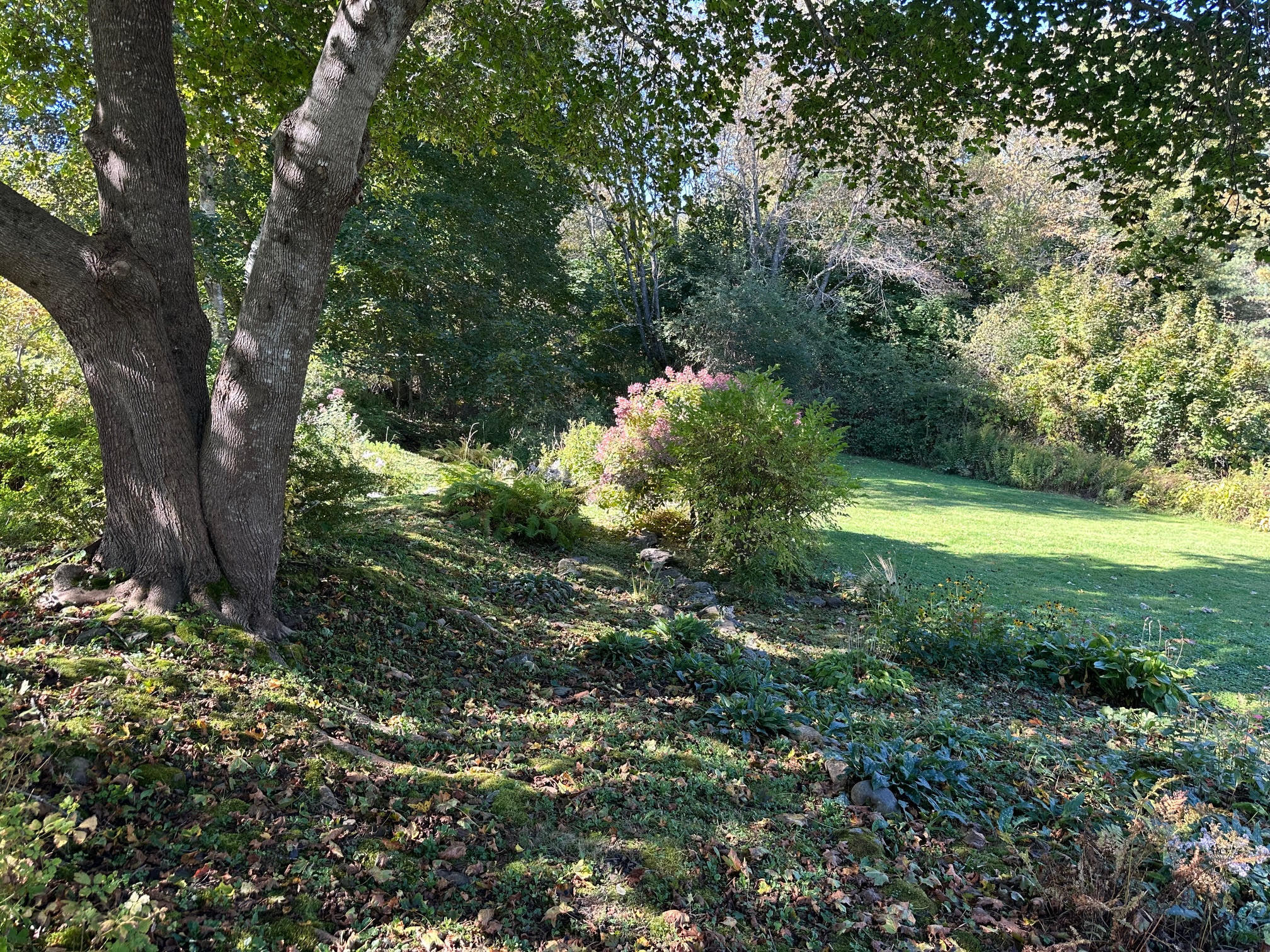 394 High Street Belfast ME 04915