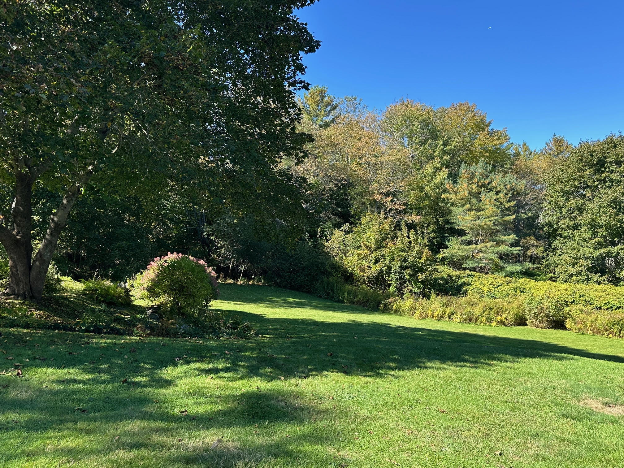 394 High Street Belfast ME 04915