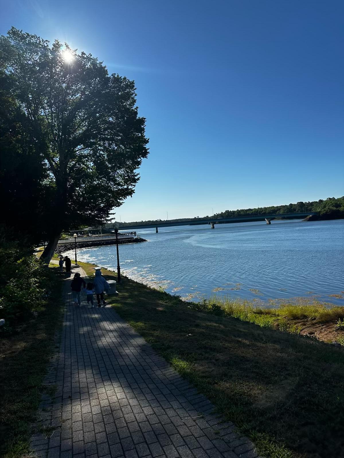 1420 Bucksmills Road Bucksport ME 04416