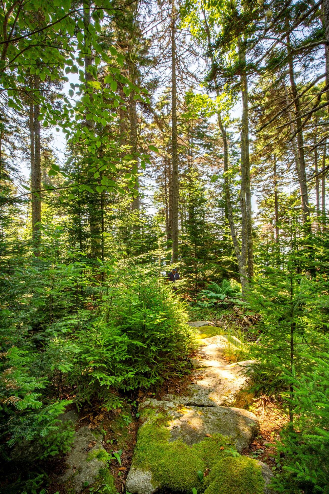 169 Island Avenue Saint George ME 04859