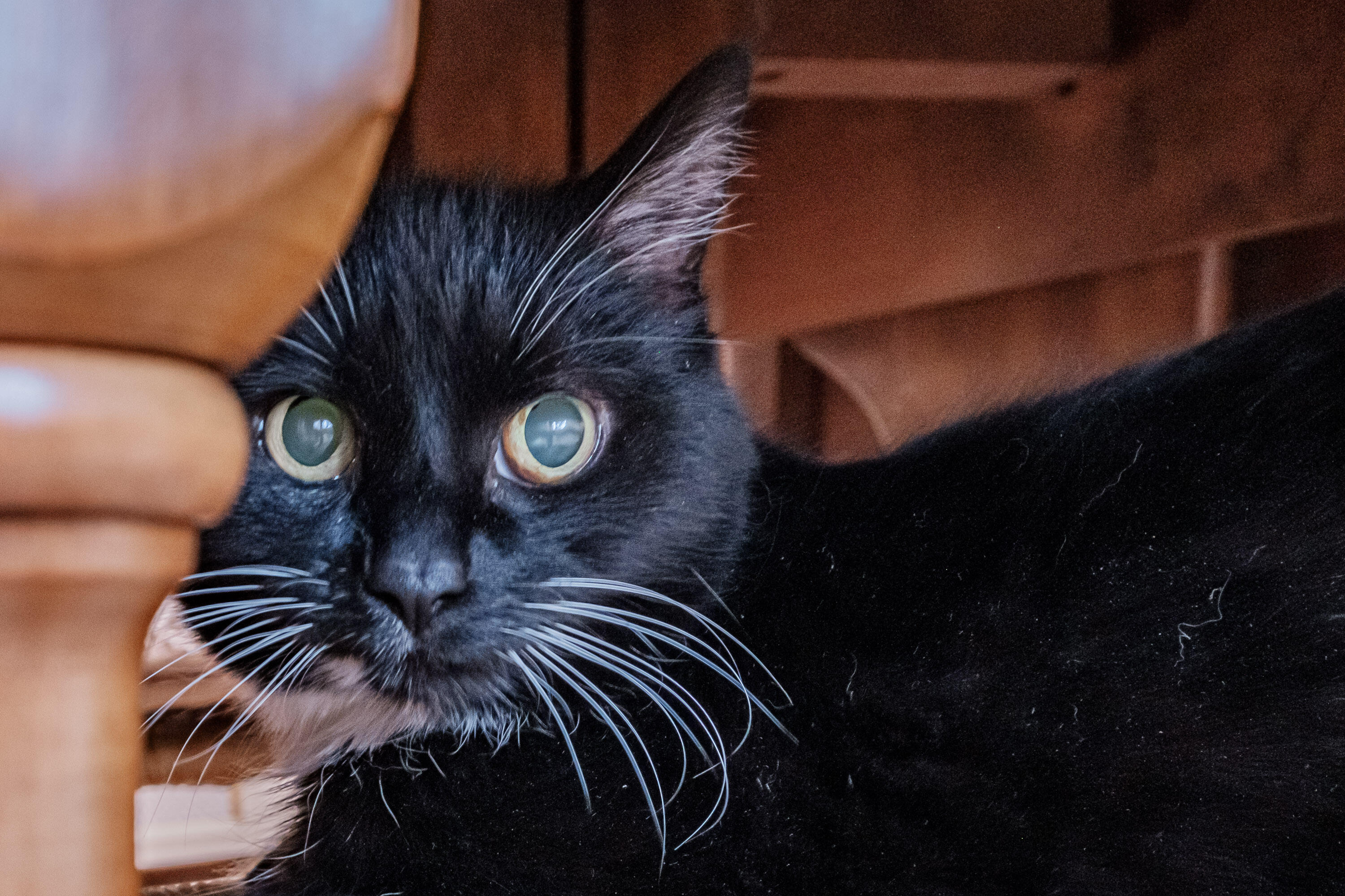 539 Mitchell Road Cape Elizabeth ME 04107