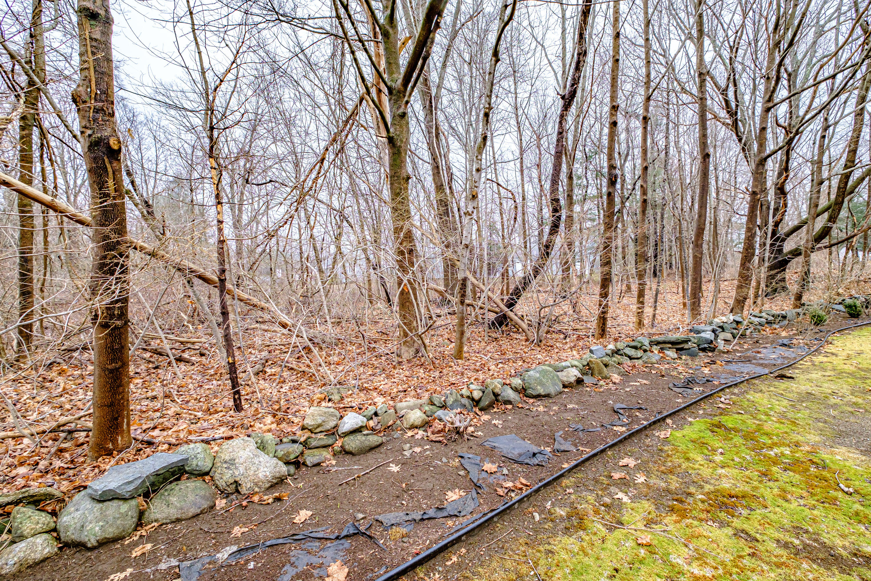 539 Mitchell Road Cape Elizabeth ME 04107