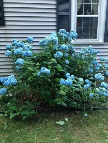 539 Mitchell Road Cape Elizabeth ME 04107