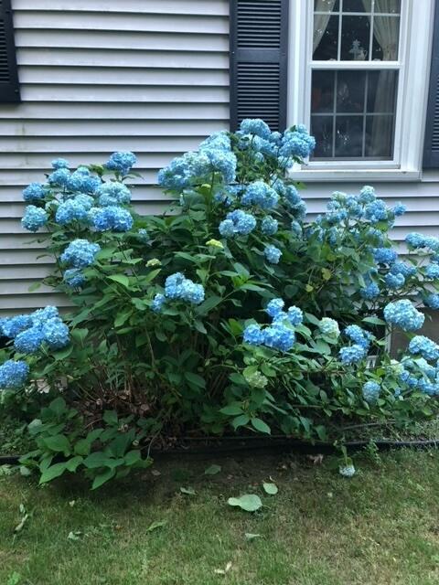 539 Mitchell Road Cape Elizabeth ME 04107