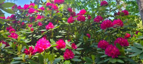 6 Old Port Road Kennebunk ME 04043