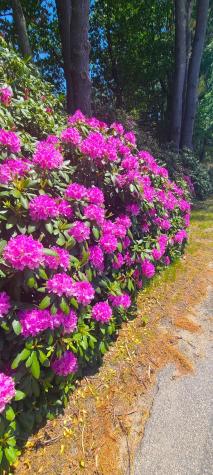 6 Old Port Road Kennebunk ME 04043