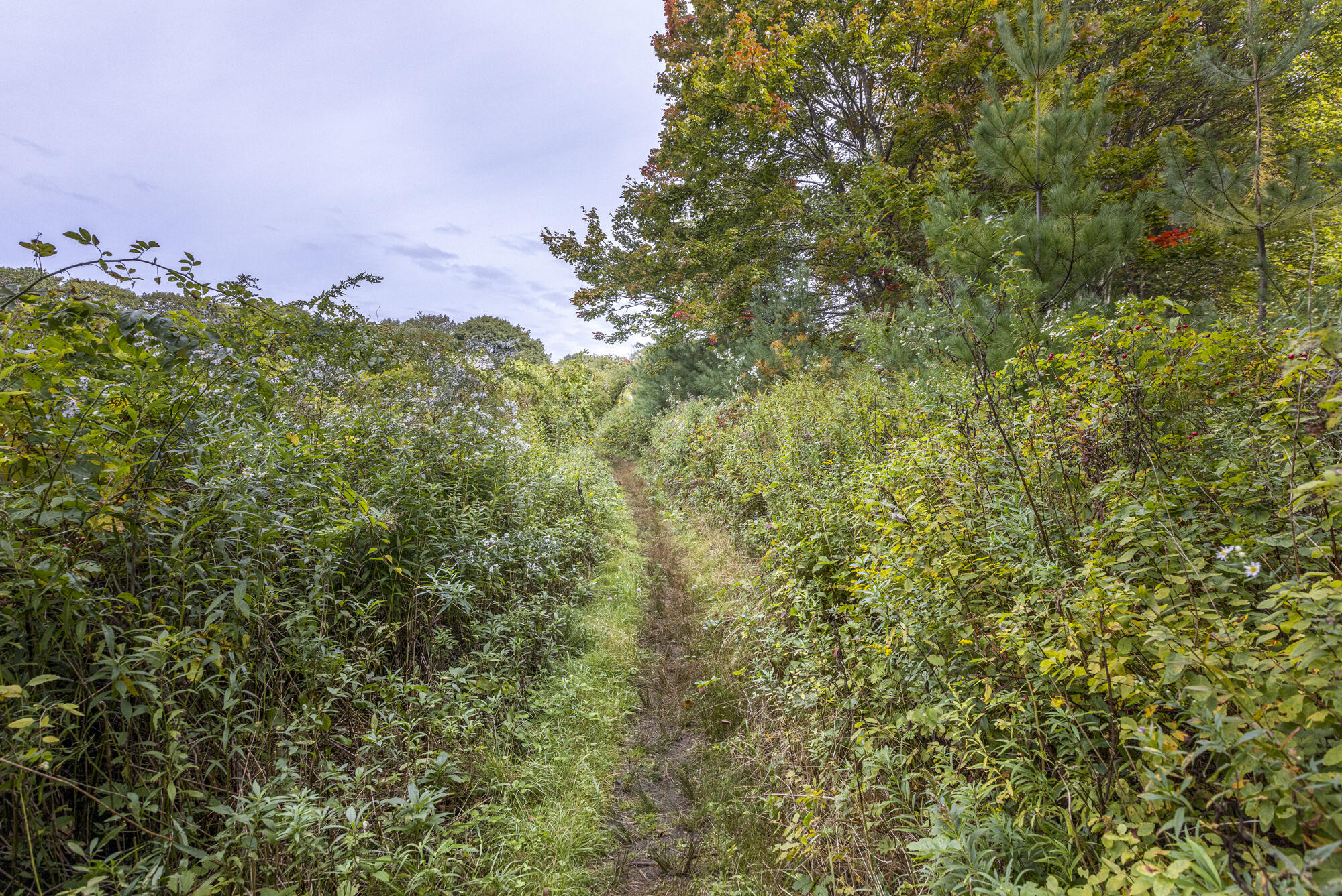 83 Hunts Point Road Cape Elizabeth ME 04107