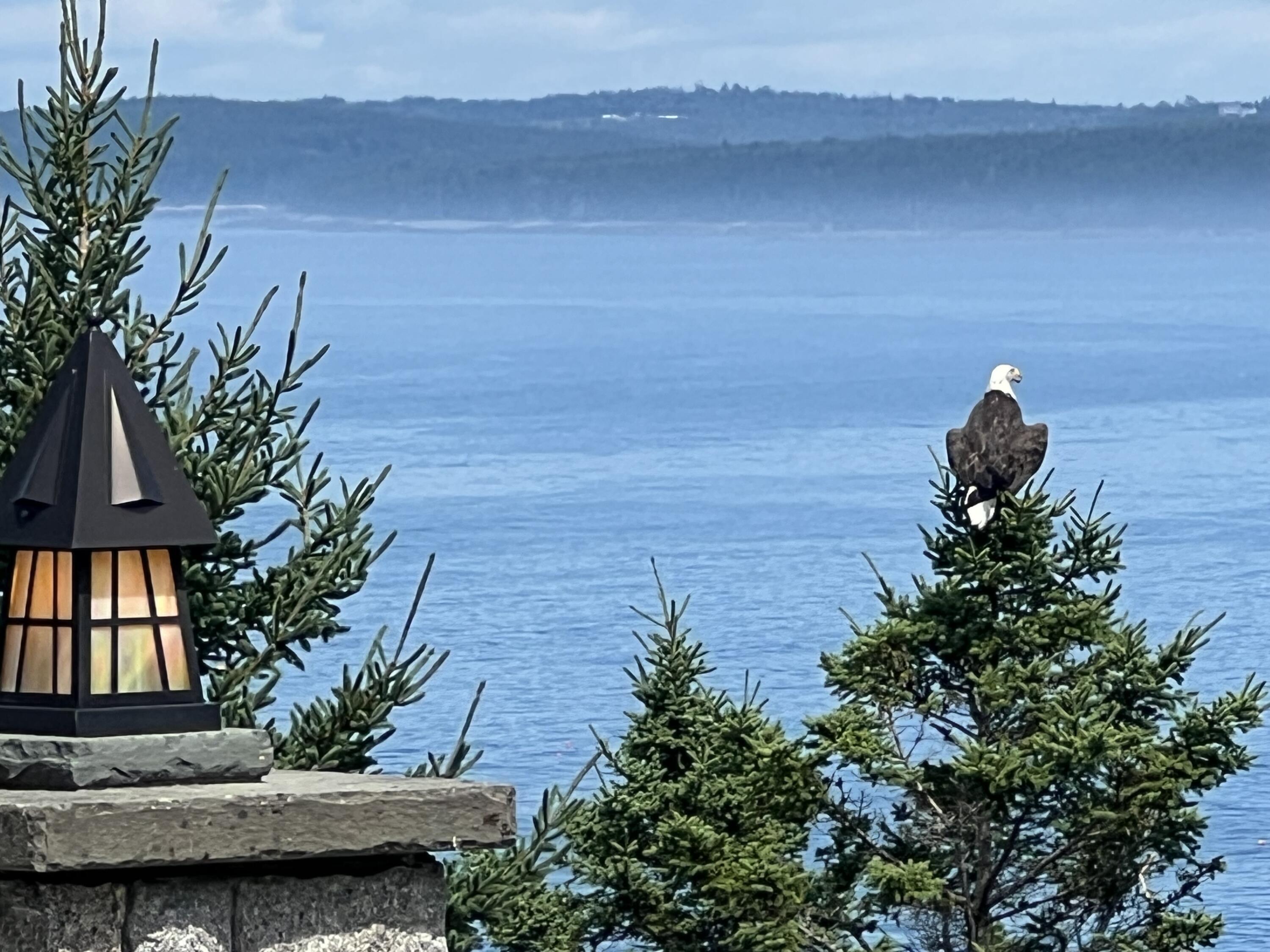 62 Sols Cliff Road Bar Harbor ME 04609