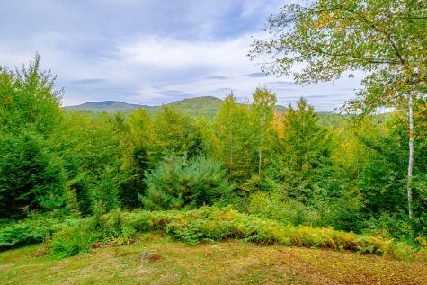 29 Holt Hill Road Bethel ME 04217