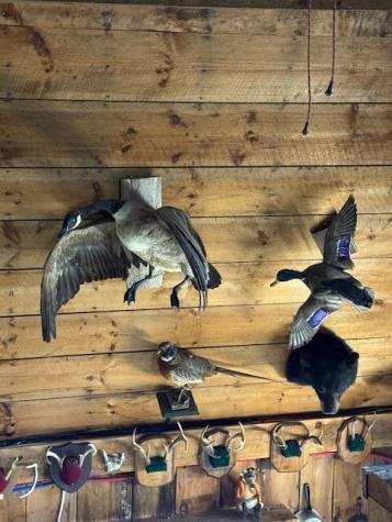 186 S South Arm Road Andover ME 04216