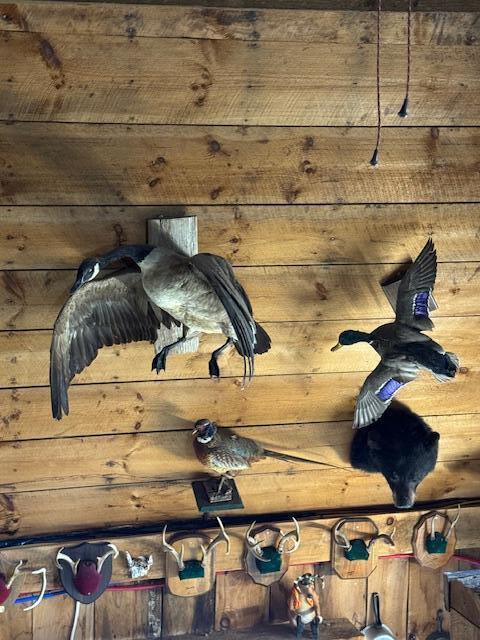 186 S South Arm Road Andover ME 04216