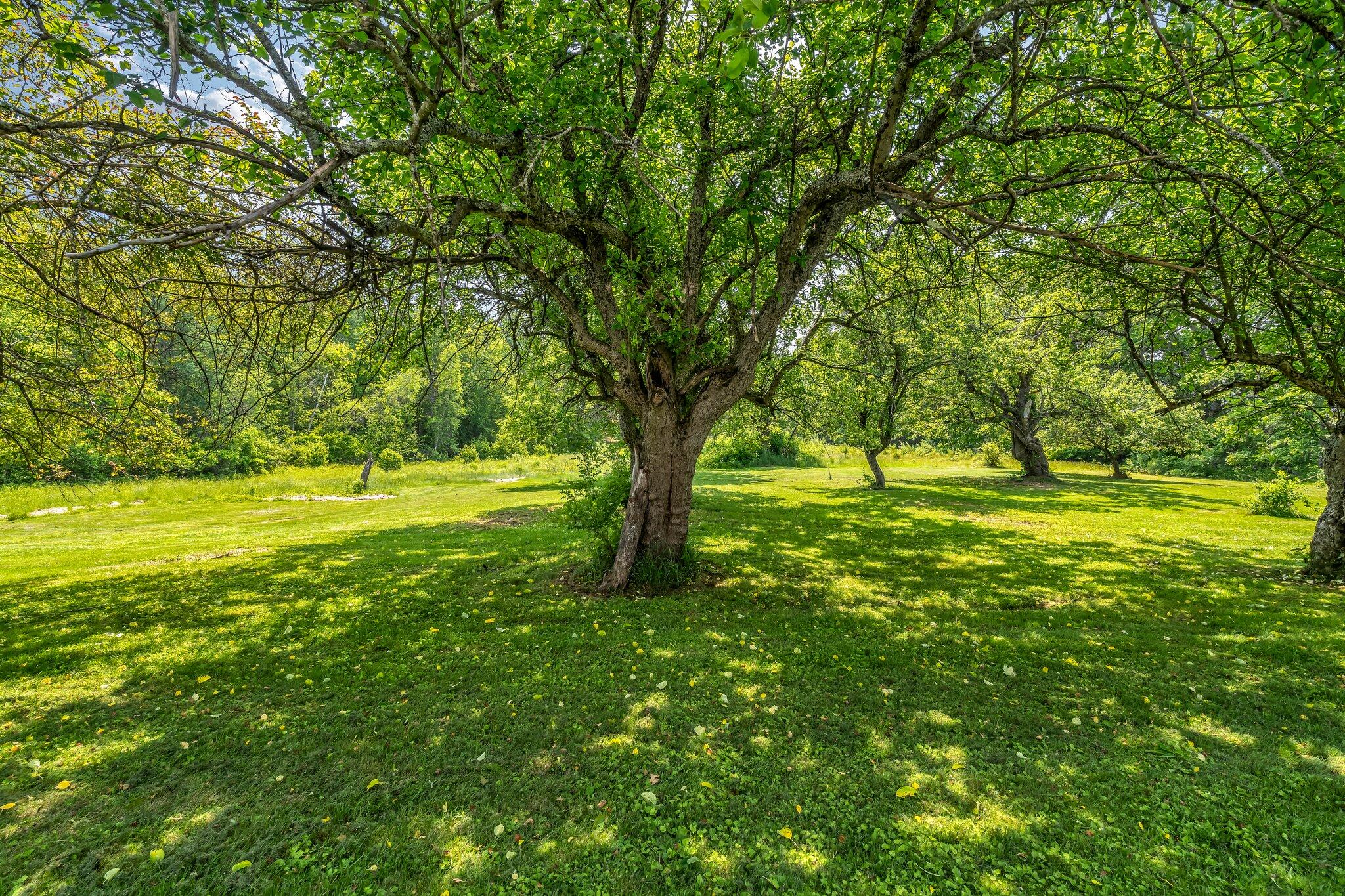 428 Bean Road Mount Vernon ME 04352