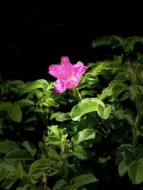 428 Bean Road Mount Vernon ME 04352