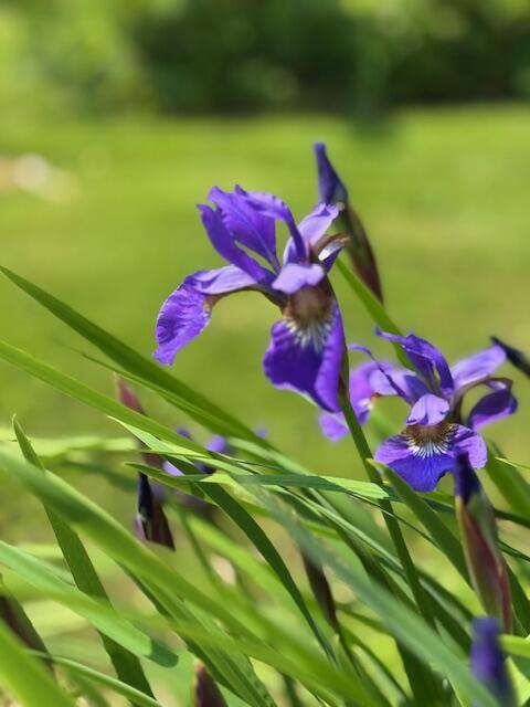 428 Bean Road Mount Vernon ME 04352