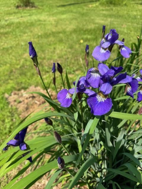 428 Bean Road Mount Vernon ME 04352