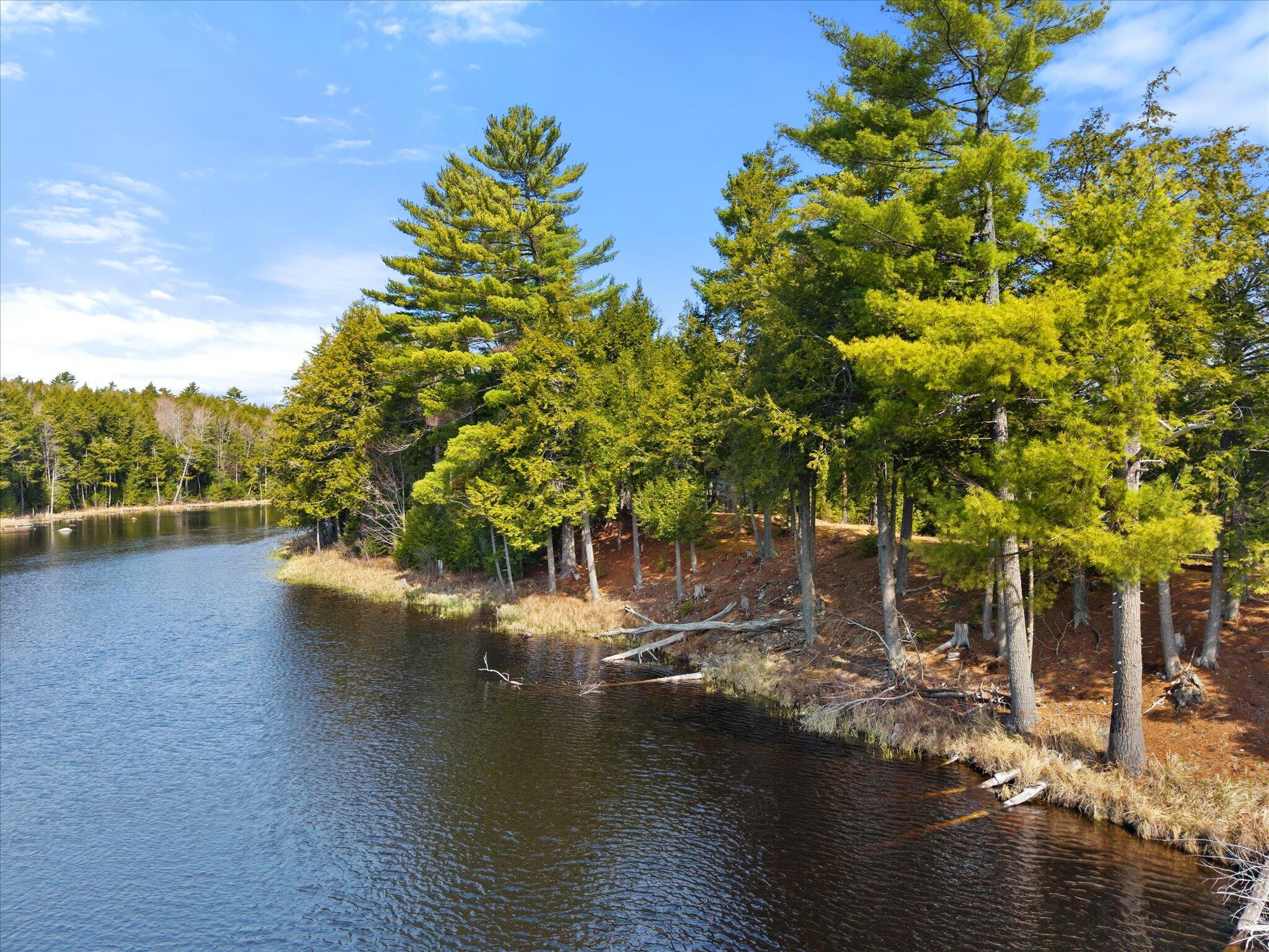 154 Woodman Mill Road Lowell ME 04493