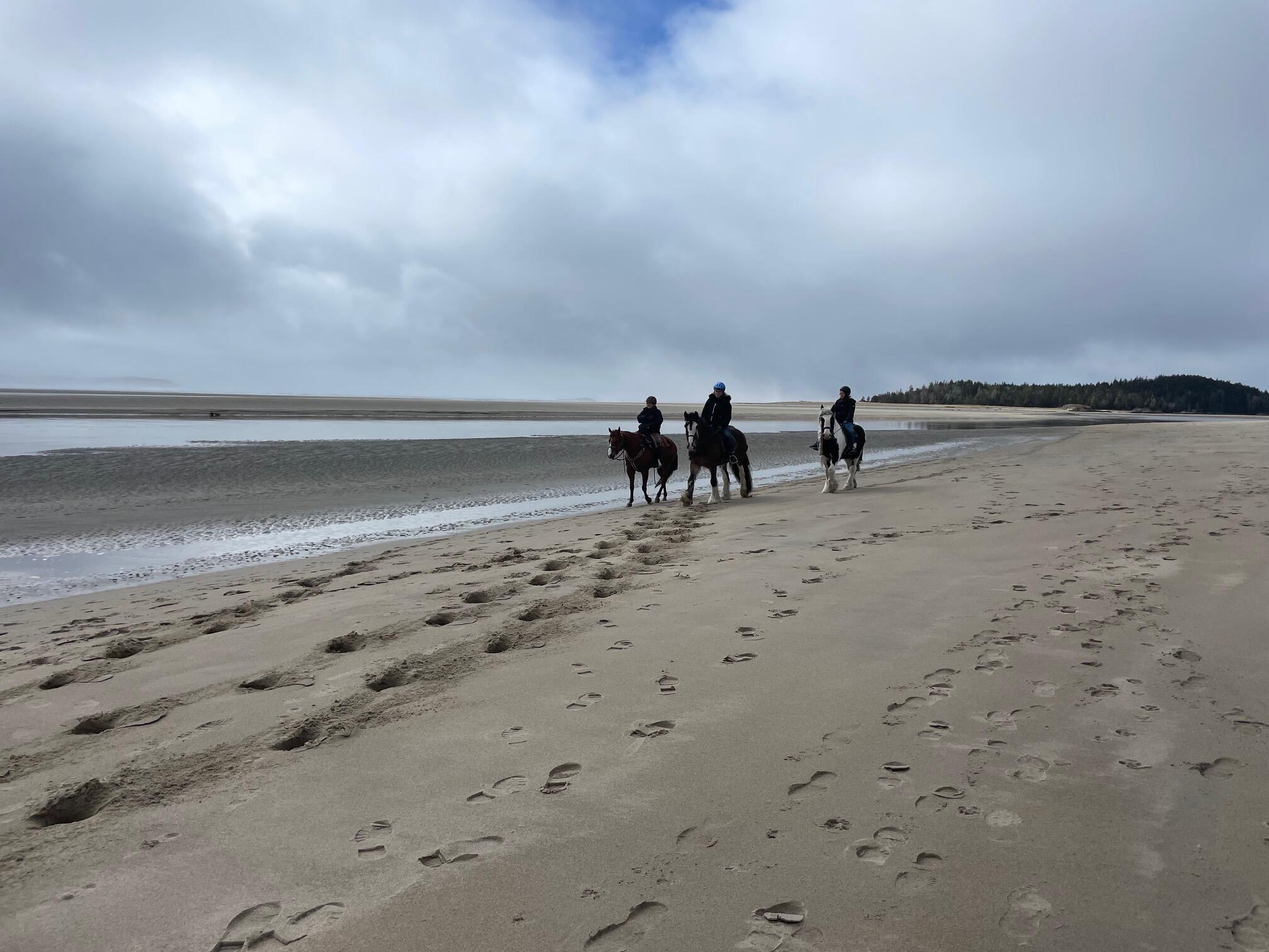 823 Popham Road Phippsburg ME 04562