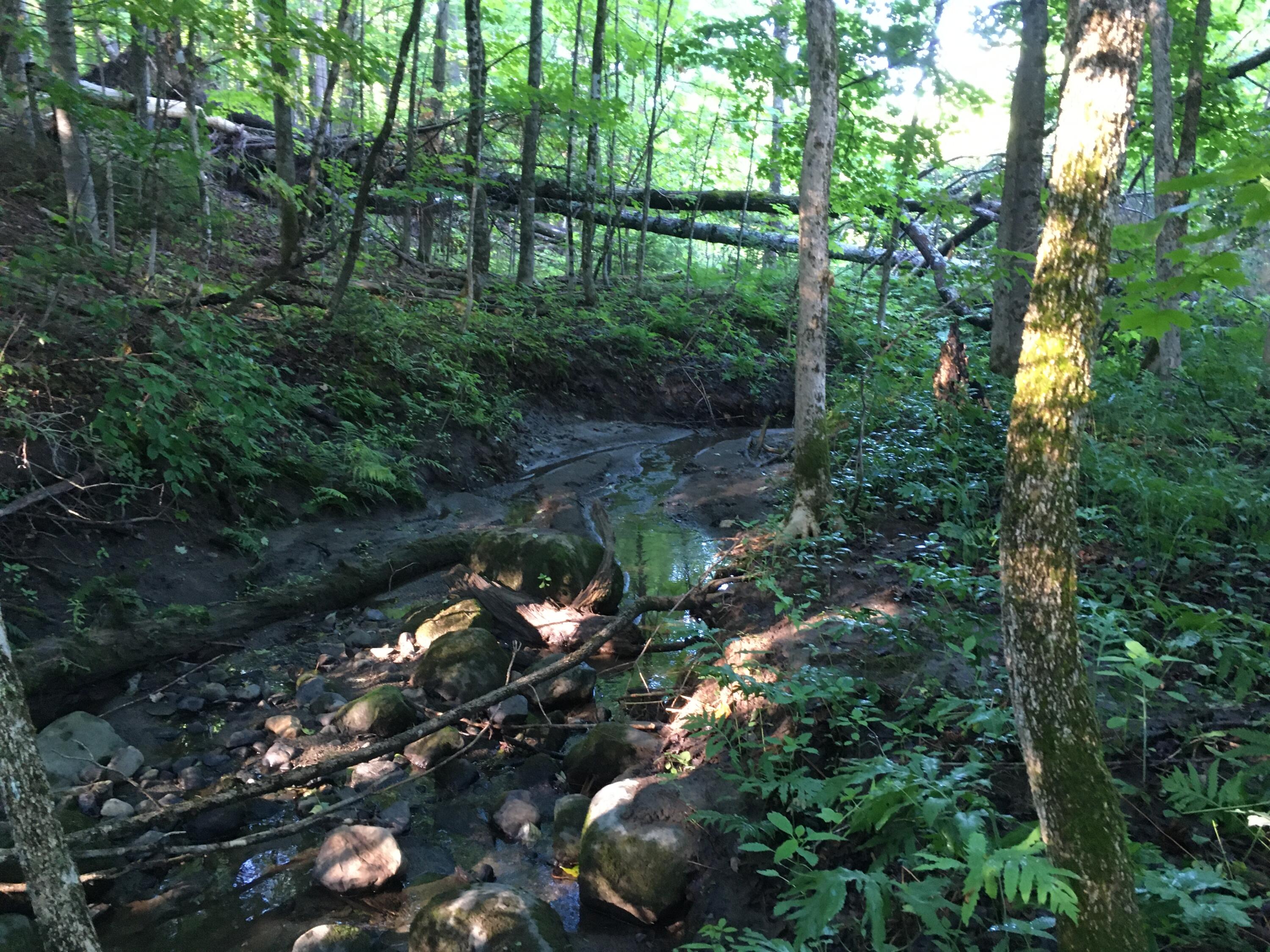 39 Main Street Harmony ME 04942