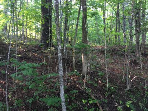 39 Main Street Harmony ME 04942