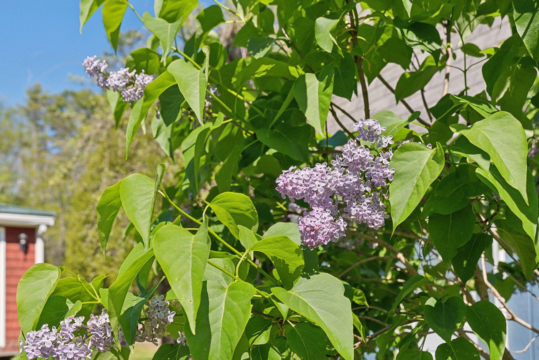 592 Old Stage Road Arrowsic ME 04530