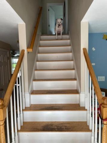 5 Clearview Drive Gorham ME 04038